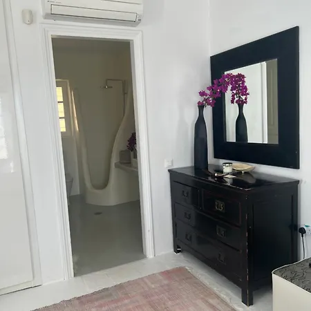 Dolphin Dream Apartment